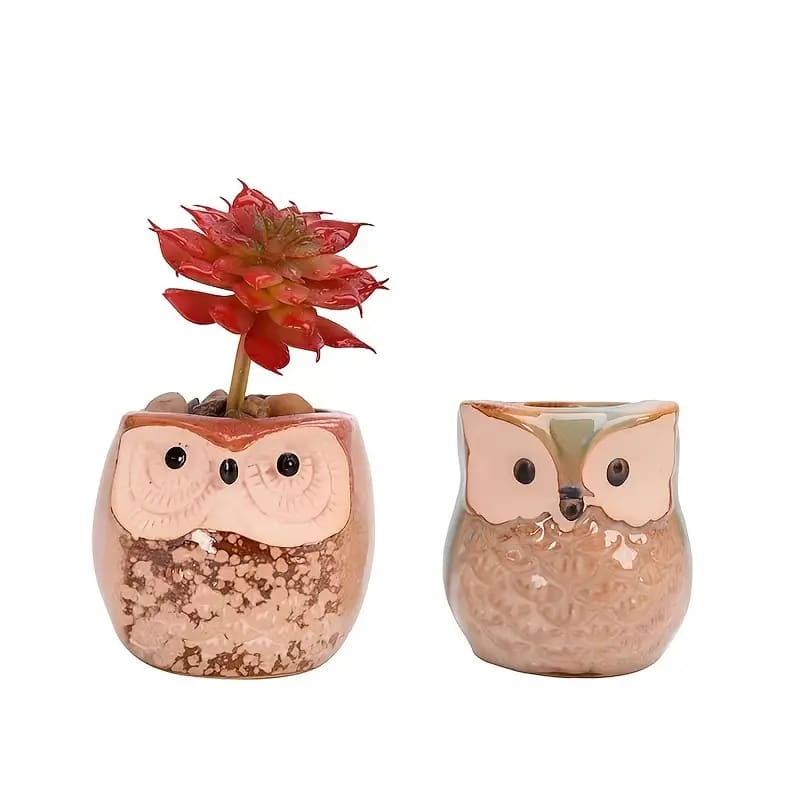 6 pc set ceramic owl pots - pots home&living materials