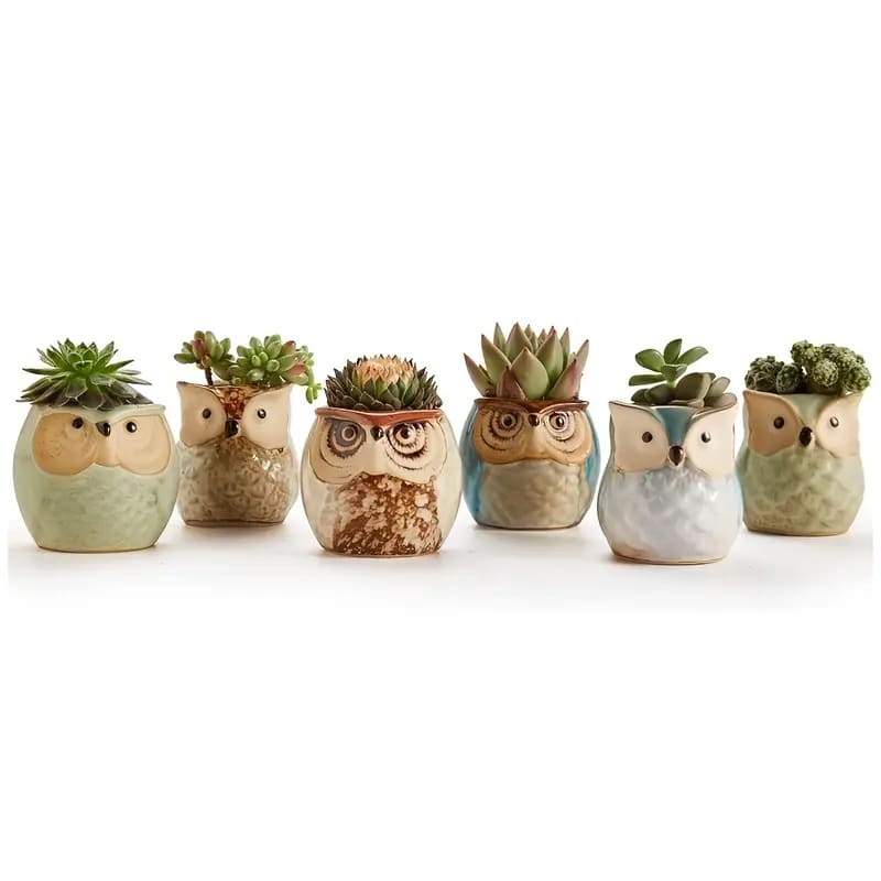 6 pc set ceramic owl pots - pots home&living materials