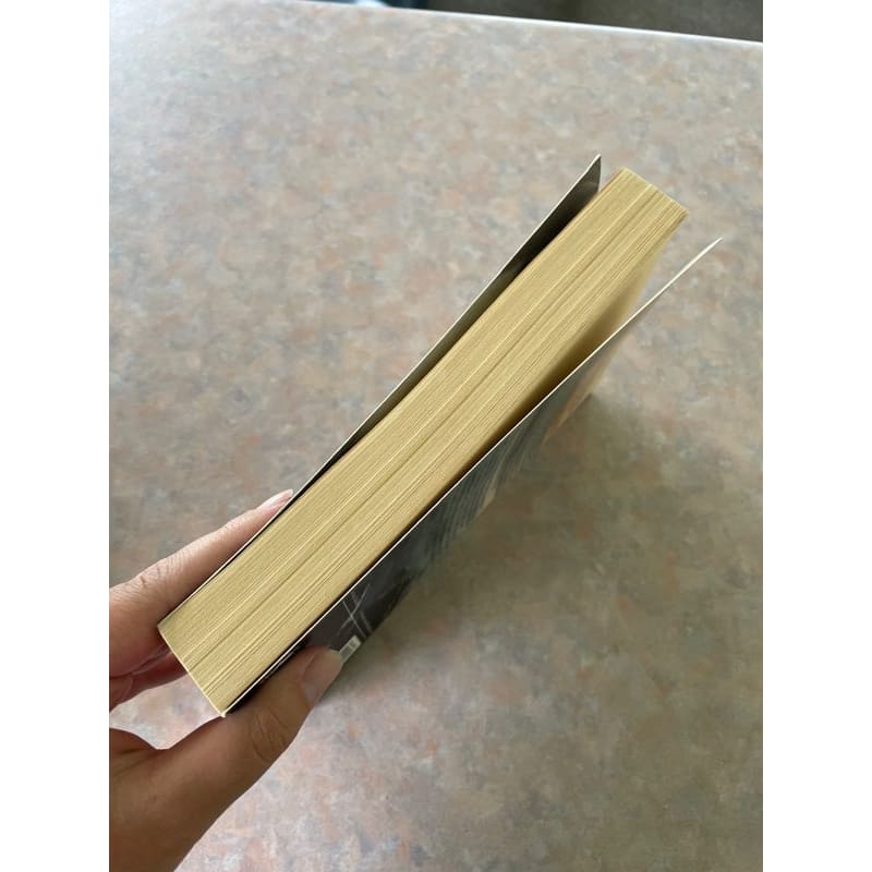The breaker - minette walters - print books book - condition: used - fiction - literature printed media
