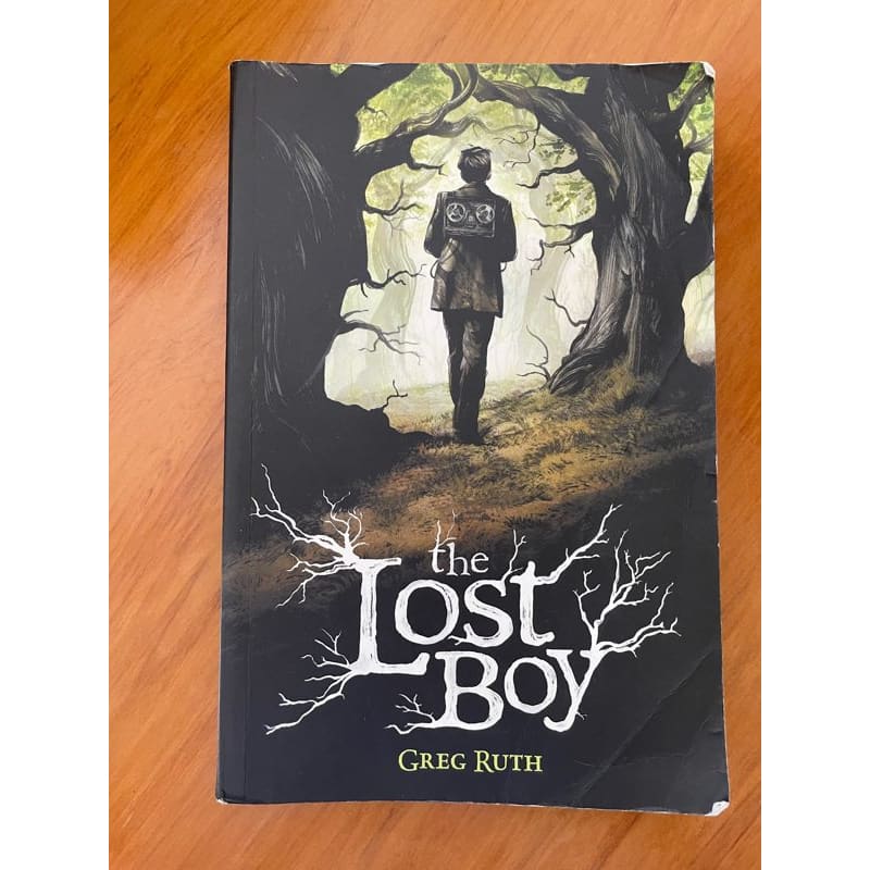 The lost boy - greg ruth (graphic comic for 8-12y) - print books book - children’s - condition: used - literature
