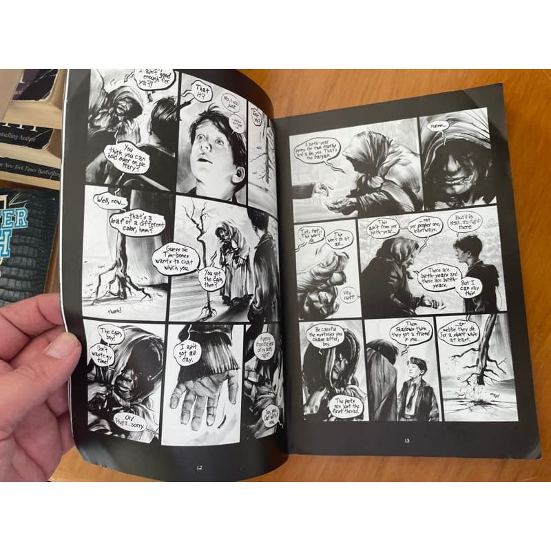 The lost boy - greg ruth (graphic comic for 8-12y) - print books book - children’s - condition: used - literature