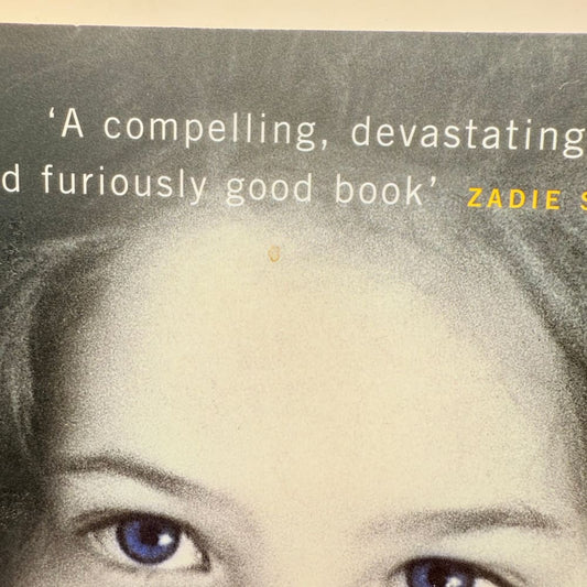 The mistress’s daughter by a.m. Homes - print books what’s new printed media