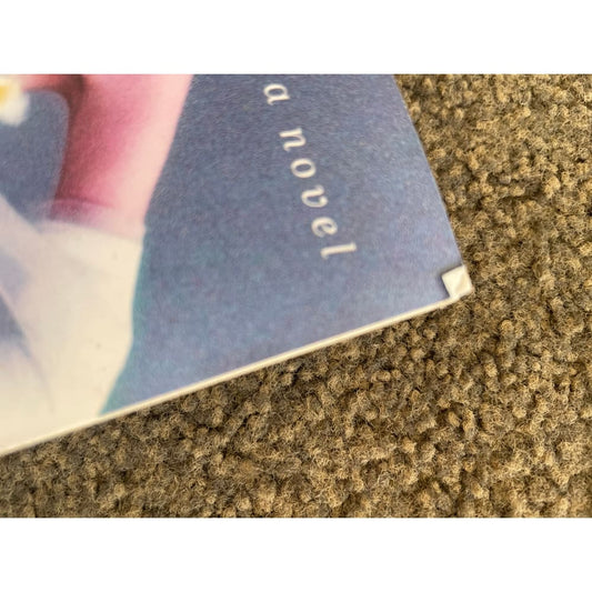 The paris gown by christine wells - books printed media