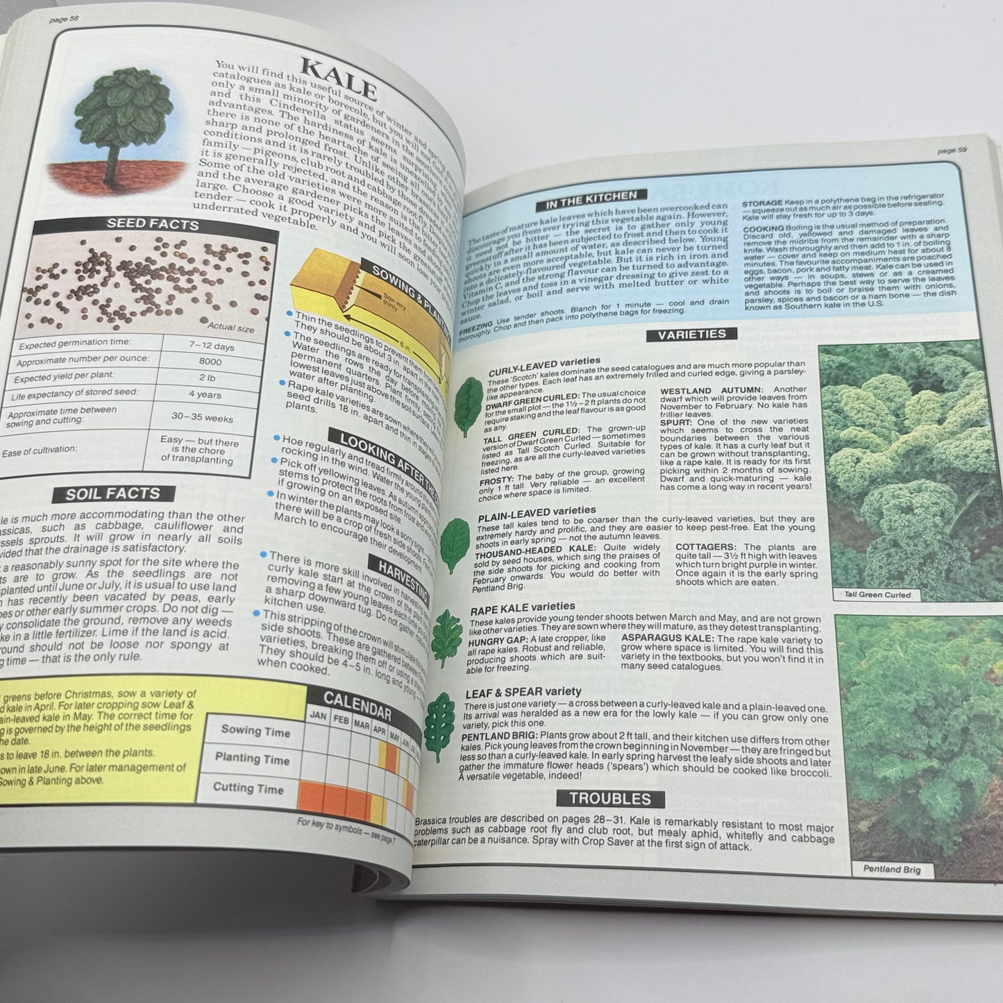 The vegetable expert by dr. D.g. Hessayon - print books condition: used printed media