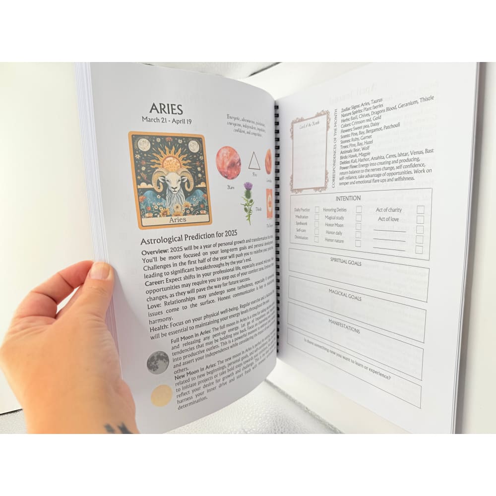 The witches planner 2025 - planners printed media