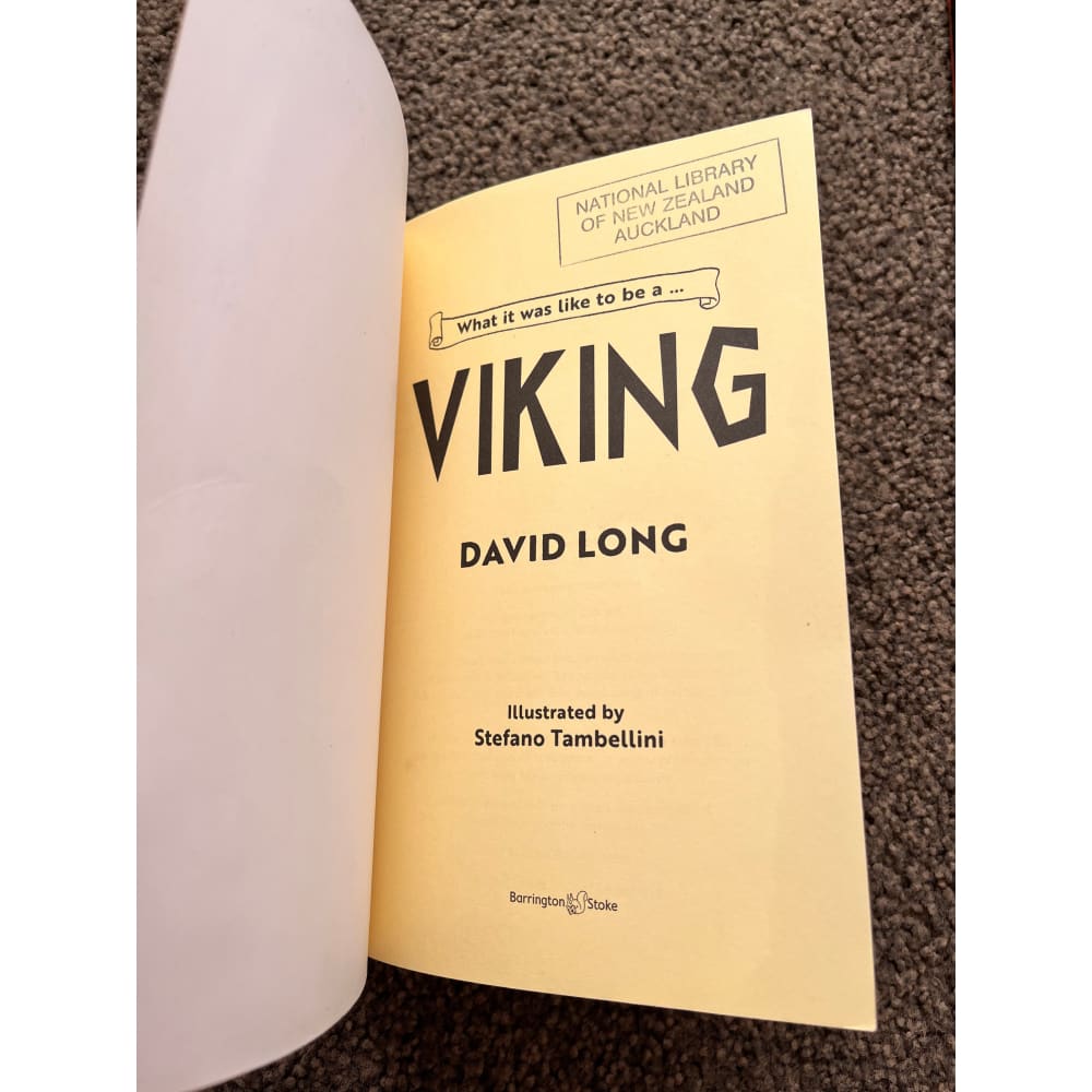 What it was like to be a viking by david long illustrated by stefano tambellini - books printed media