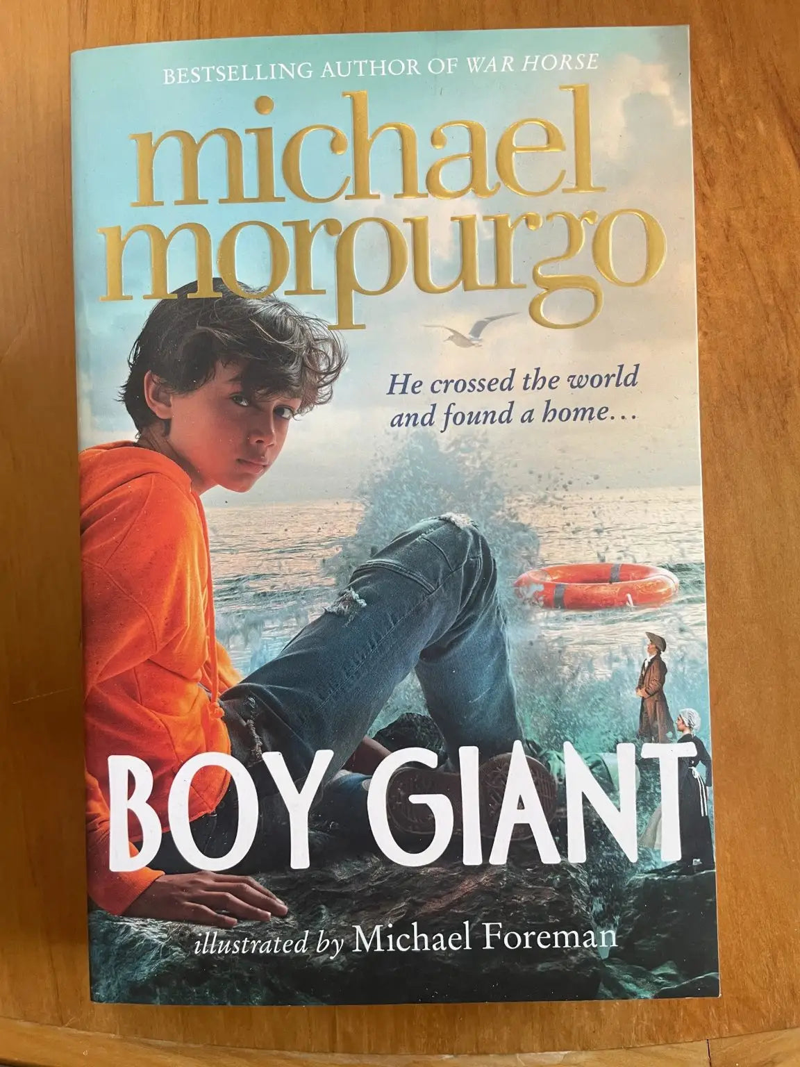A paperback novel with a light blue cover featuring a boy on a rocky shore with crashing waves.