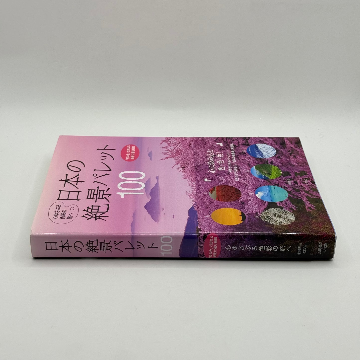 Japan's 100 Great Sceneries by Nagaoka Shoten Editorial Department (Japanese)