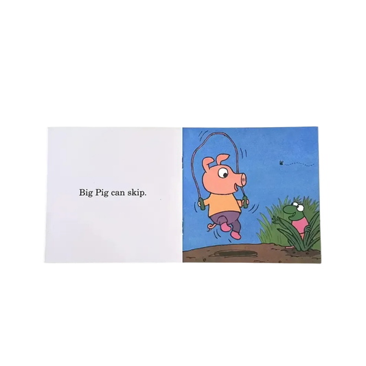 12x Big Pig Mini Phonics Books