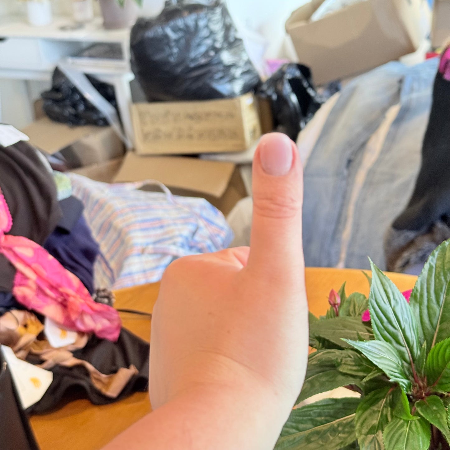 Witchery Size 9 Skinny Leg Jeans