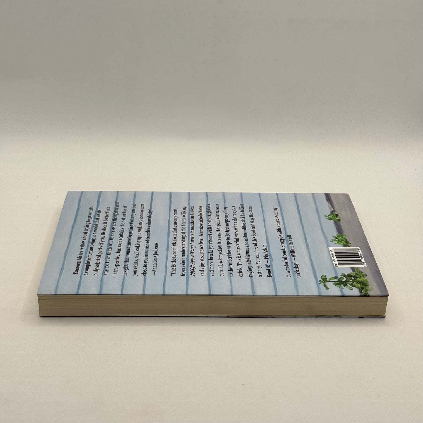 2000ft Above Worry Level by Eamonn Marra