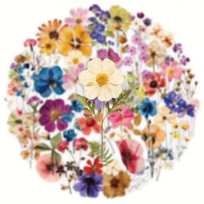 50pc transparent flower decals – botanical stickers set - decorative stickers crafts