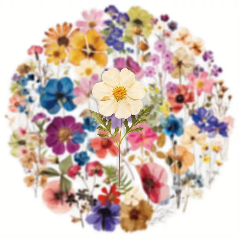 50pc transparent flower decals – botanical stickers set - decorative stickers crafts