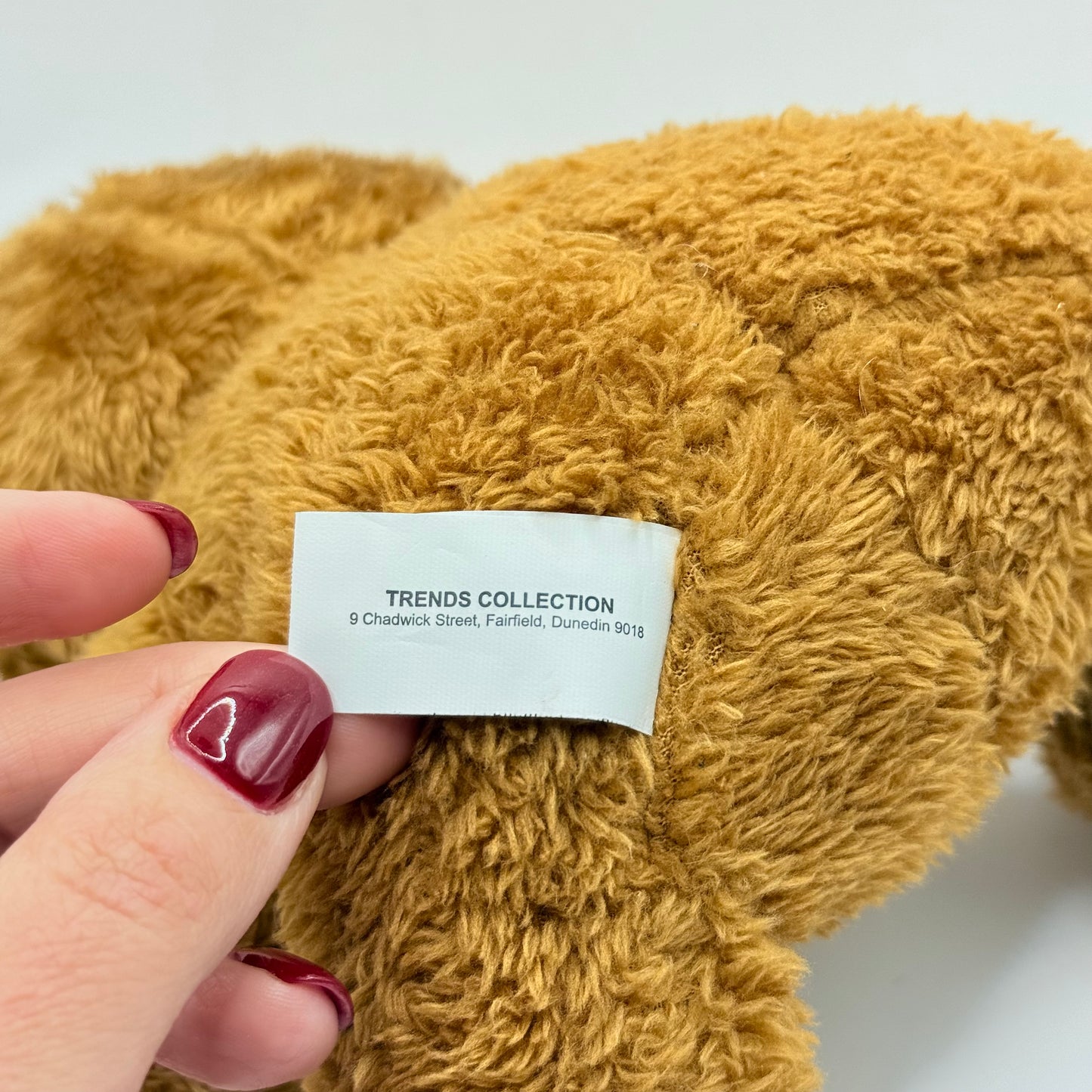 A Classic Bear from Trends Collection