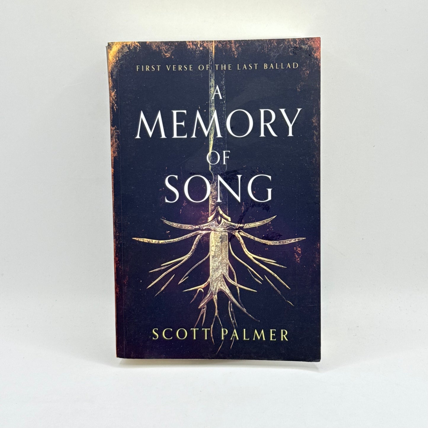 A Memory of Song by Scott Palmer