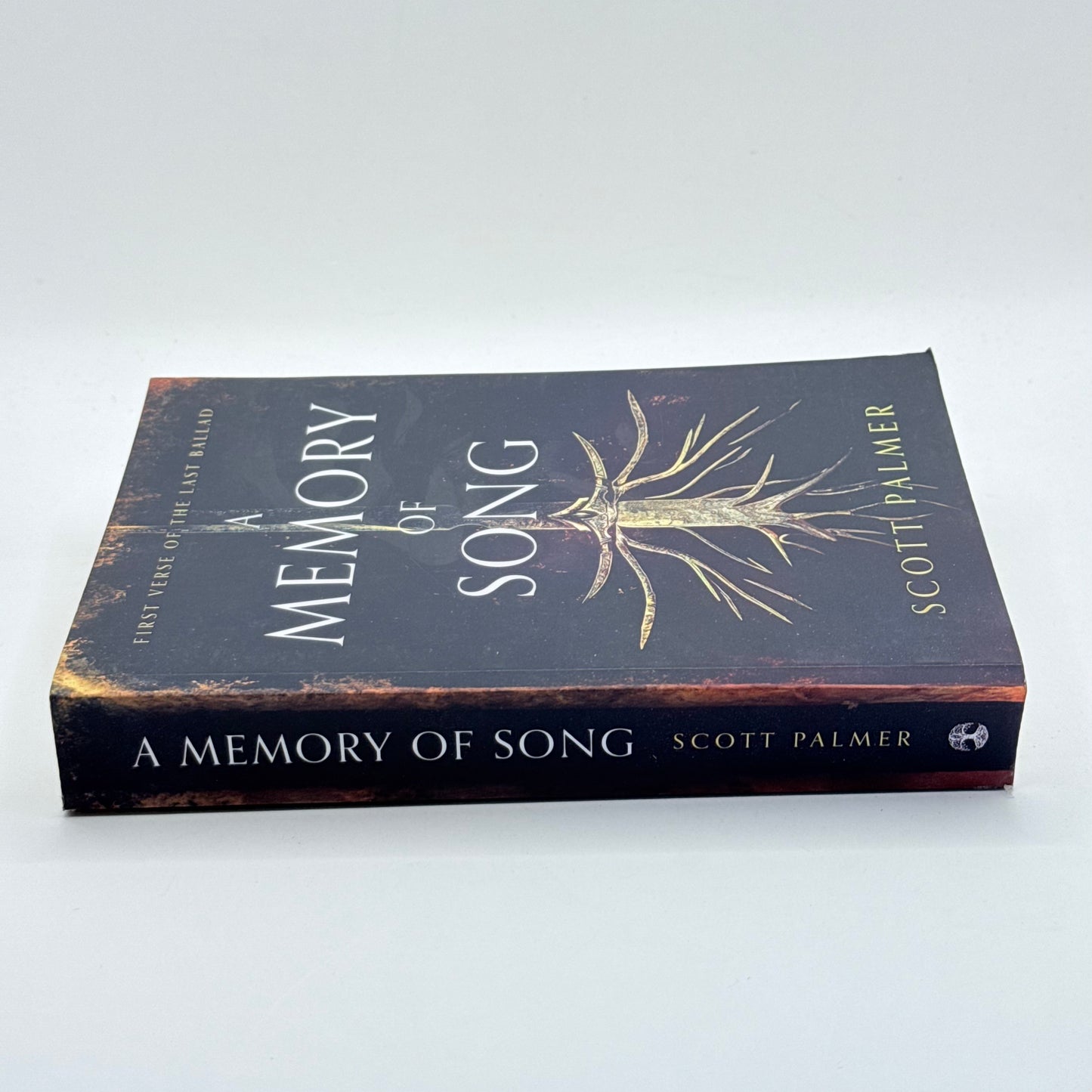 A Memory of Song by Scott Palmer