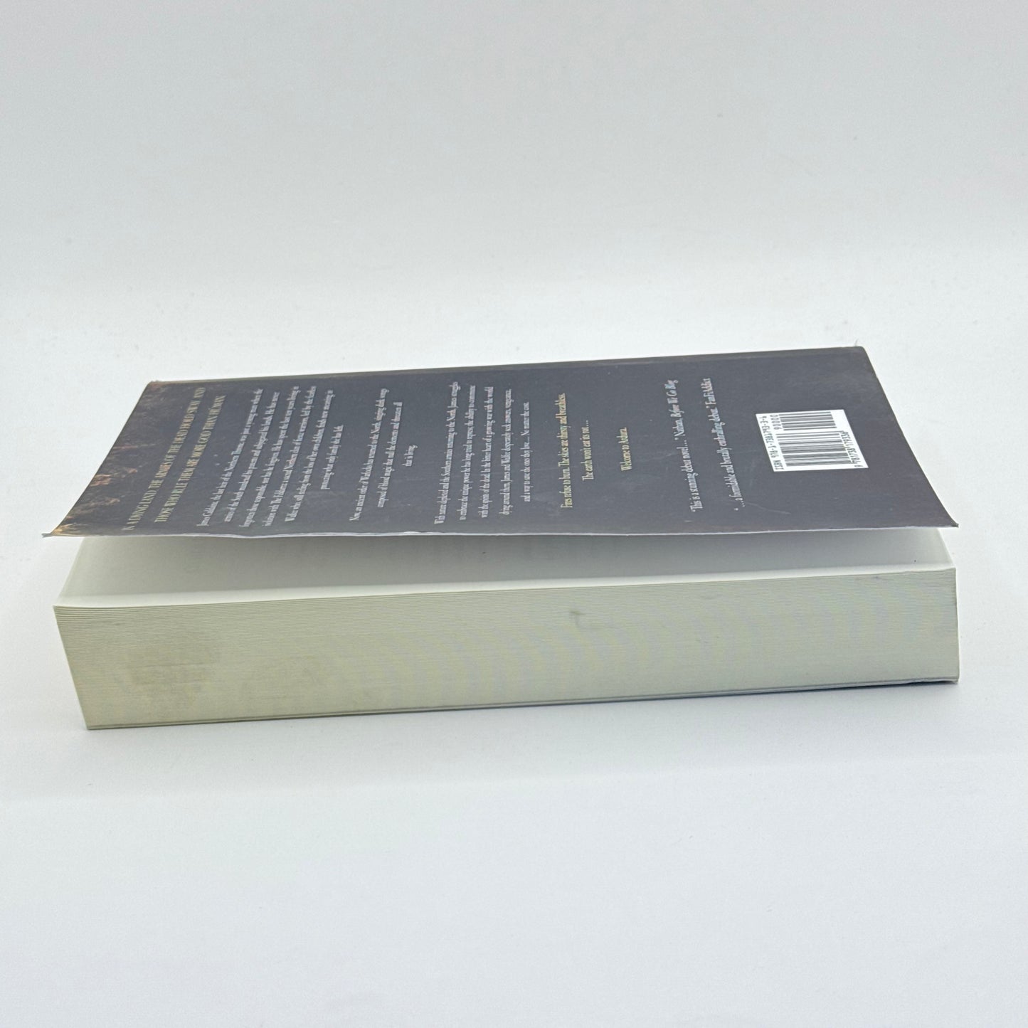 A Memory of Song by Scott Palmer