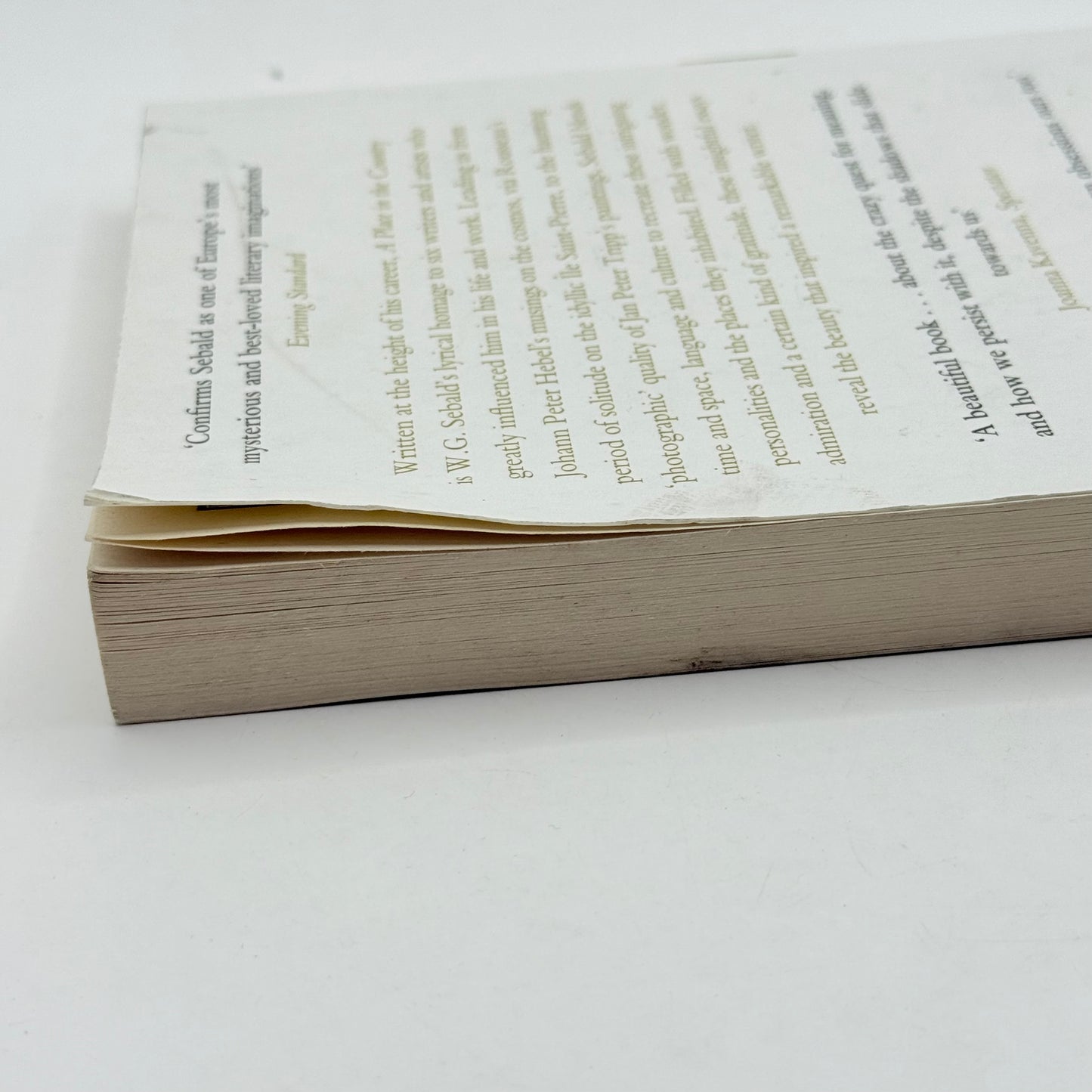 A Place in the Country by W.G. Sebald ,  Jo Catling