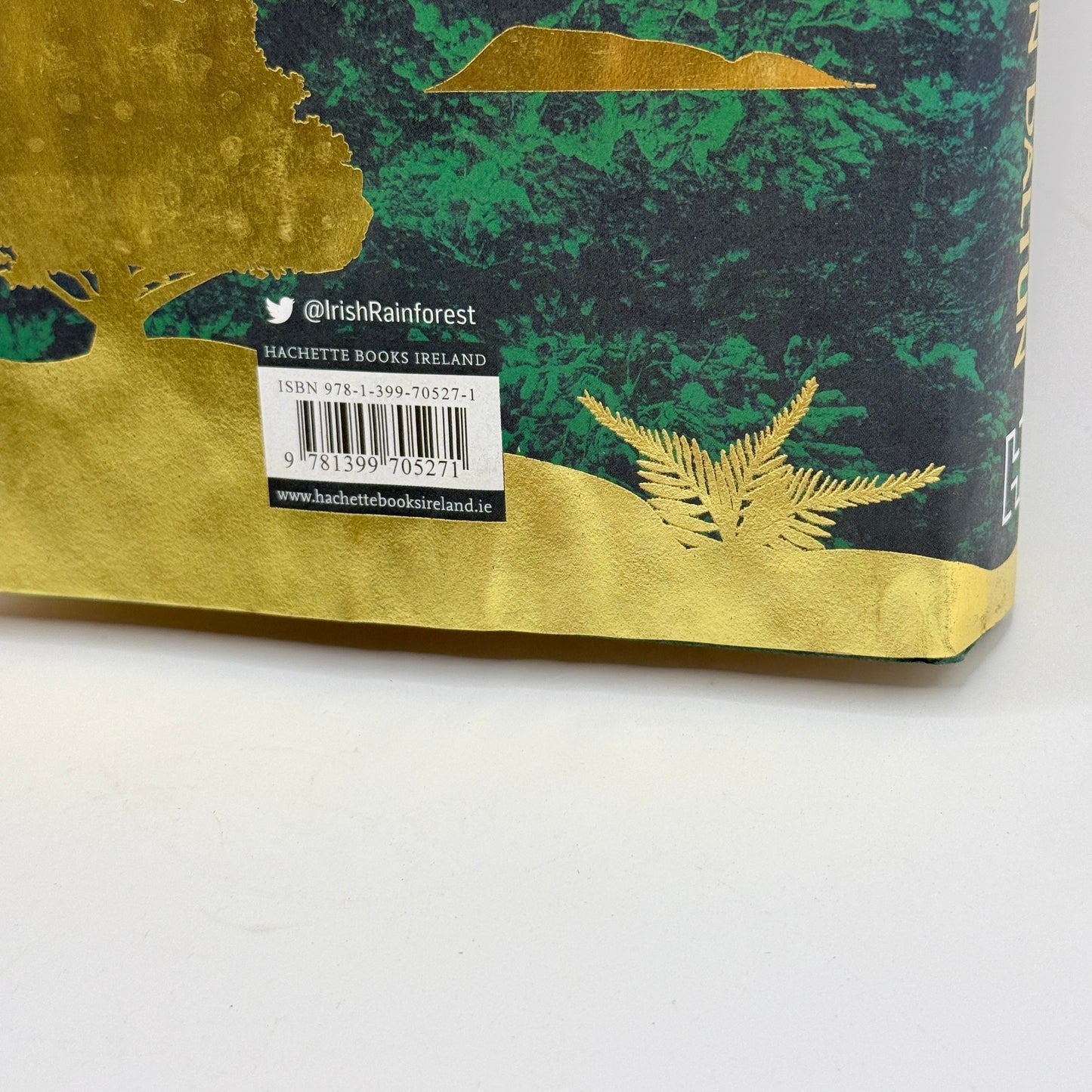 An Irish Atlantic Rainforest by Eoghan Daltun