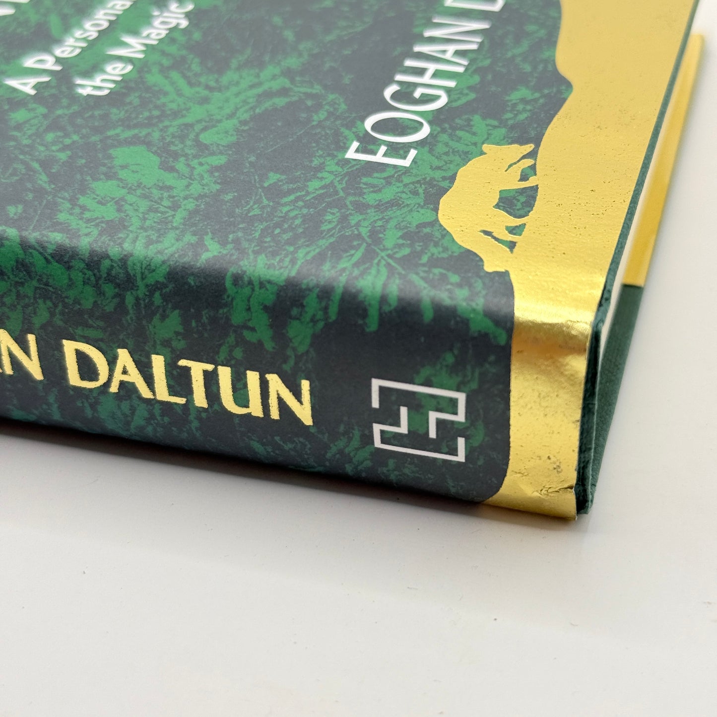 An Irish Atlantic Rainforest by Eoghan Daltun