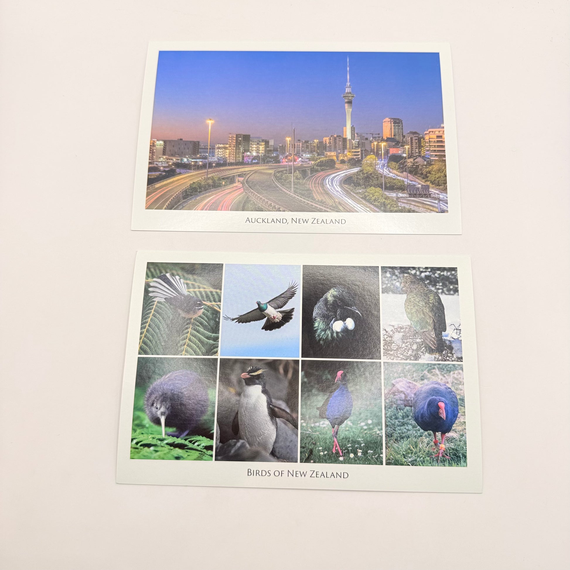 Auckland & birds of new zealand postcard set - collectibles original photo - what’s new seasonal & holidays decorations