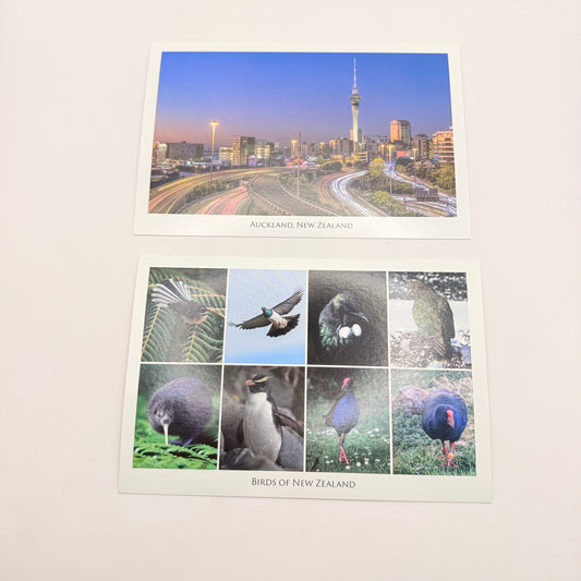 Auckland & birds of new zealand postcard set - collectibles original photo - what’s new seasonal & holidays decorations