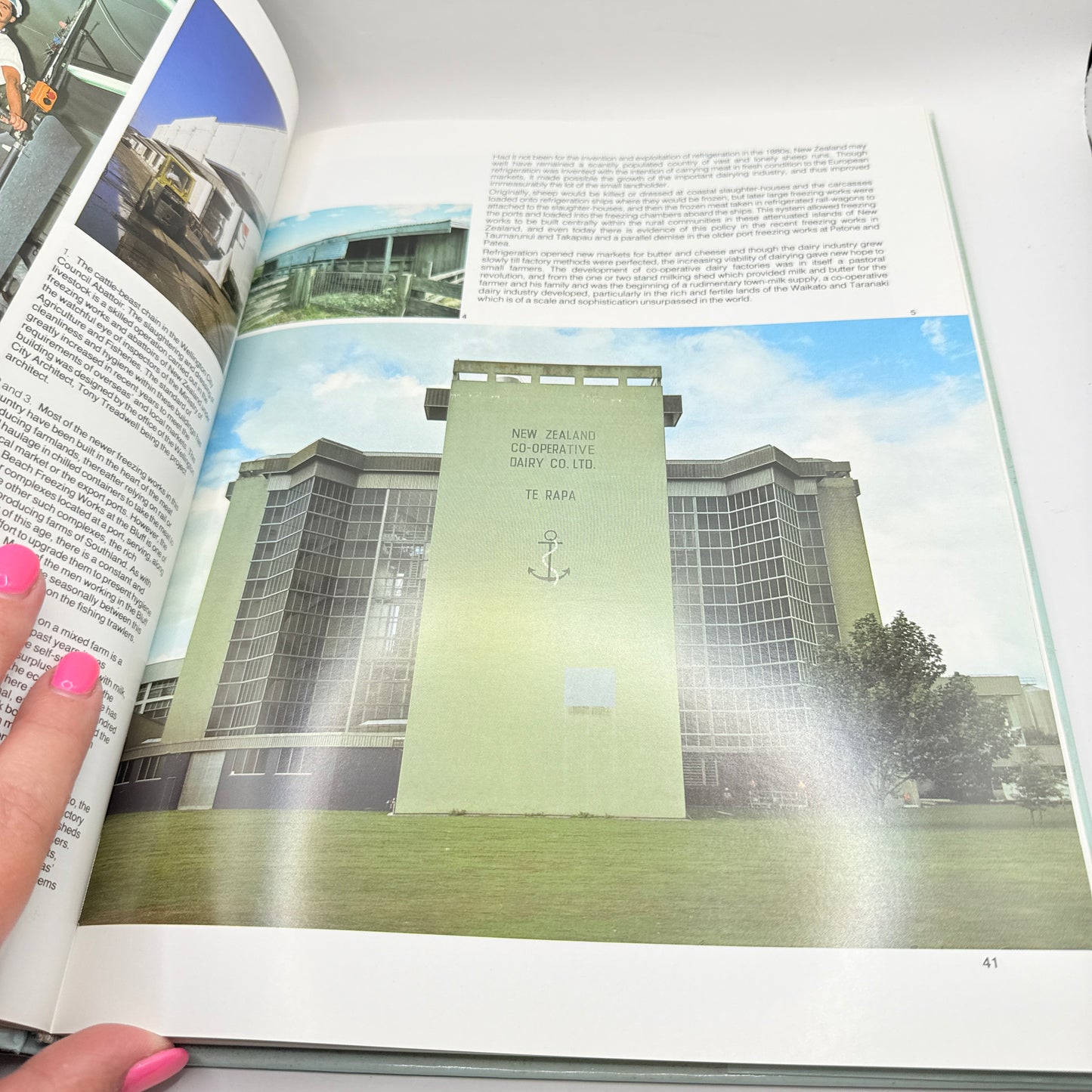 Buildings of New Zealanders by Michael Fowler