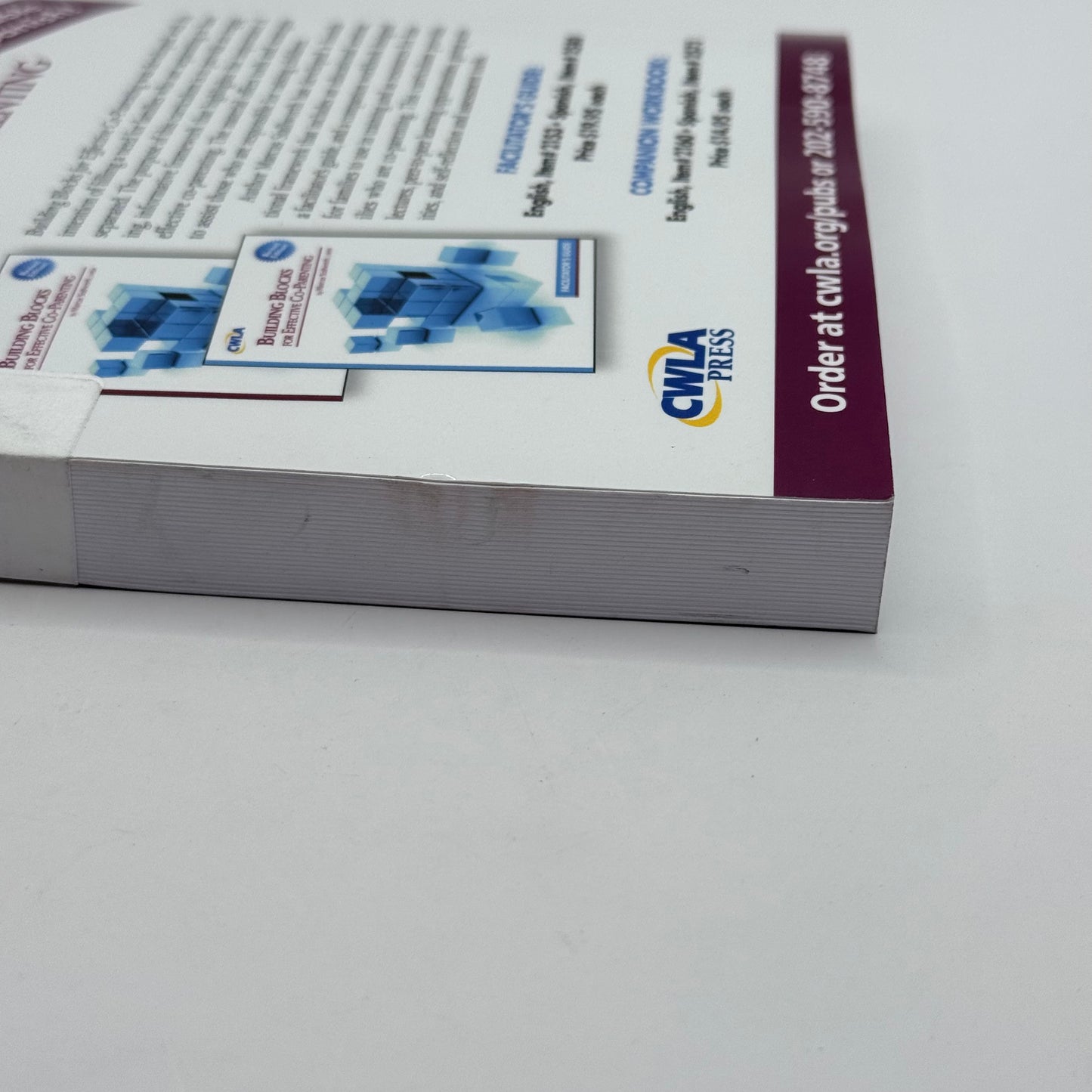 Child Welfare Journal Vol 102 Fathers and Child Welfare by Waldo E. Johnson, Jr. and Harold E. Briggs