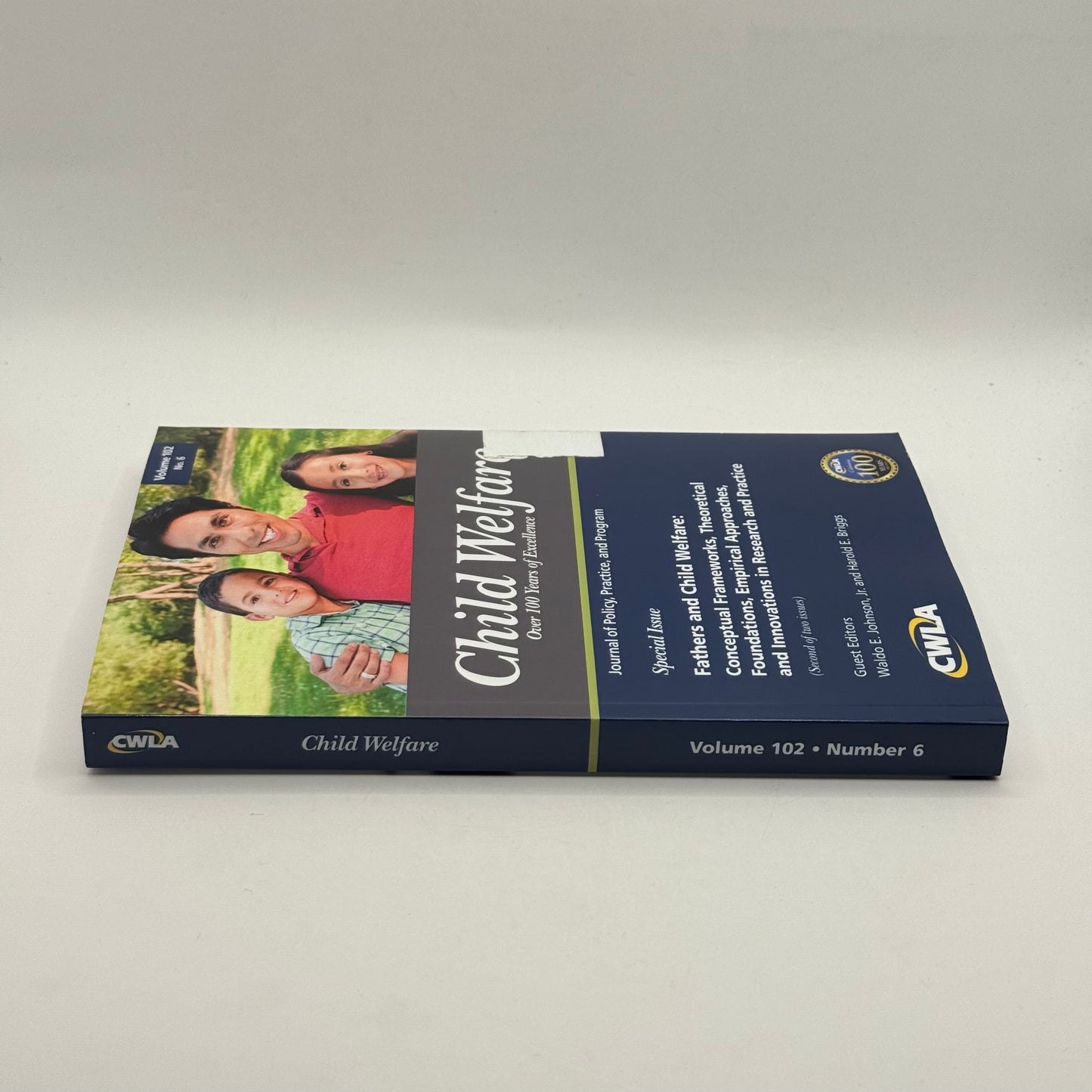 Child Welfare Journal Fathers and Child Welfare by Waldo E. Johnson, Jr. and Harold E. Briggs