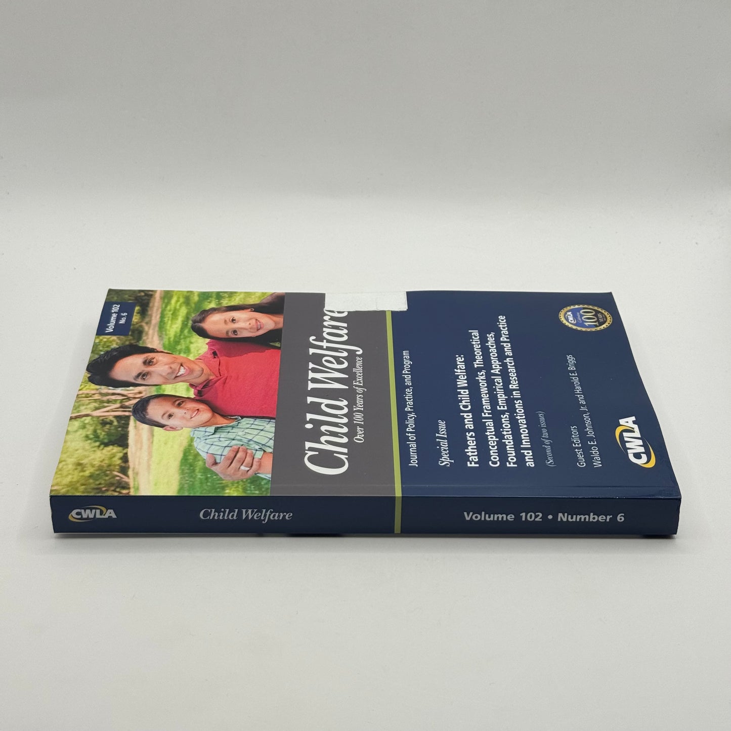 Child Welfare Journal Vol 102 Fathers and Child Welfare by Waldo E. Johnson, Jr. and Harold E. Briggs