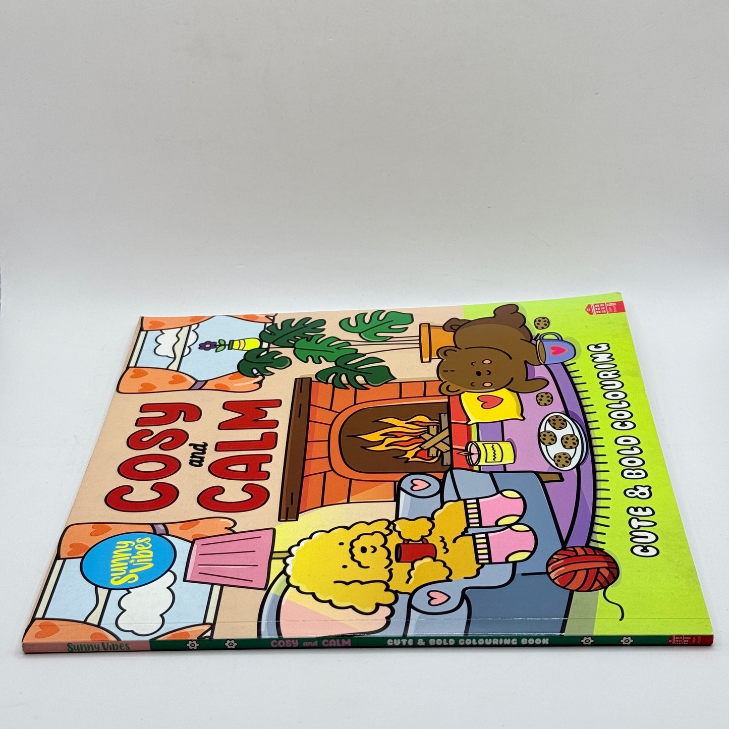 Cosy and Calm Cute & Bold Colouring Book by Sam Jayne