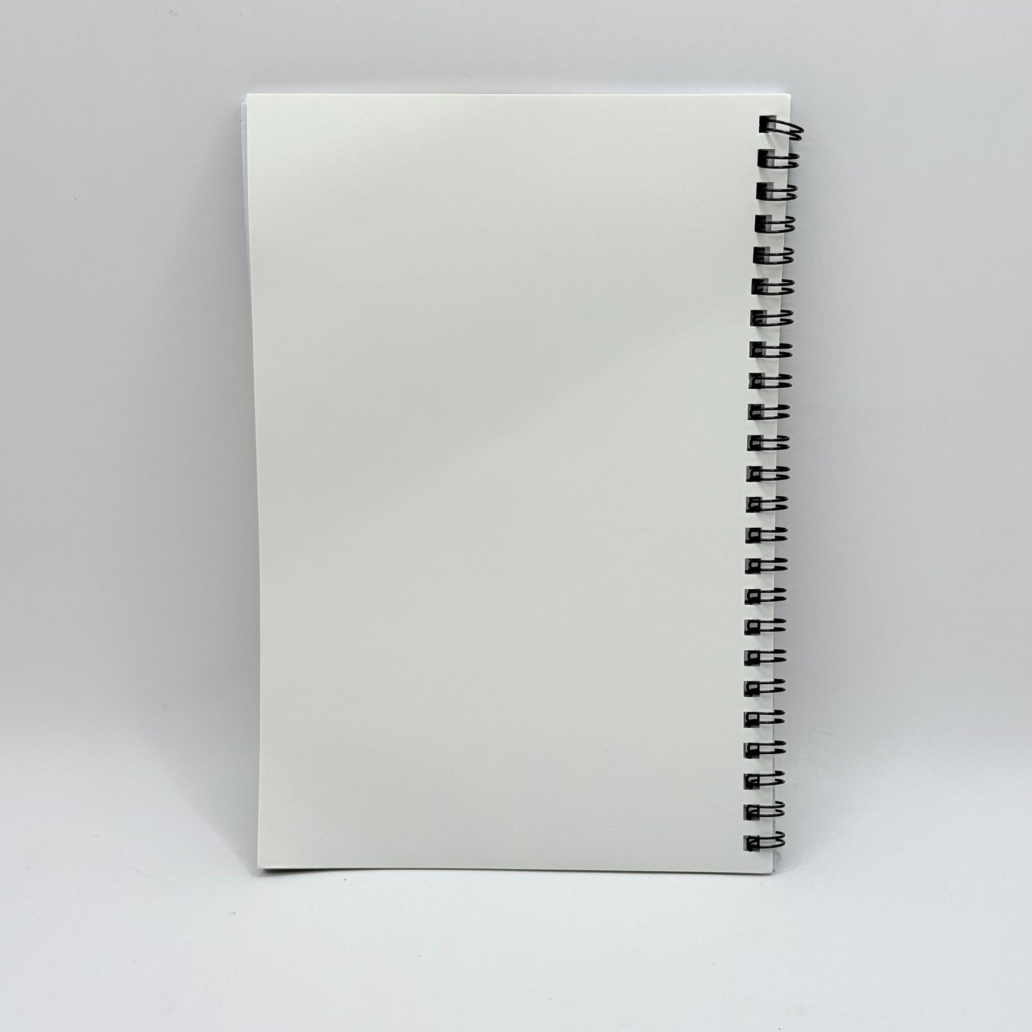 Counsellor Cronin's Daily Gratitude Book