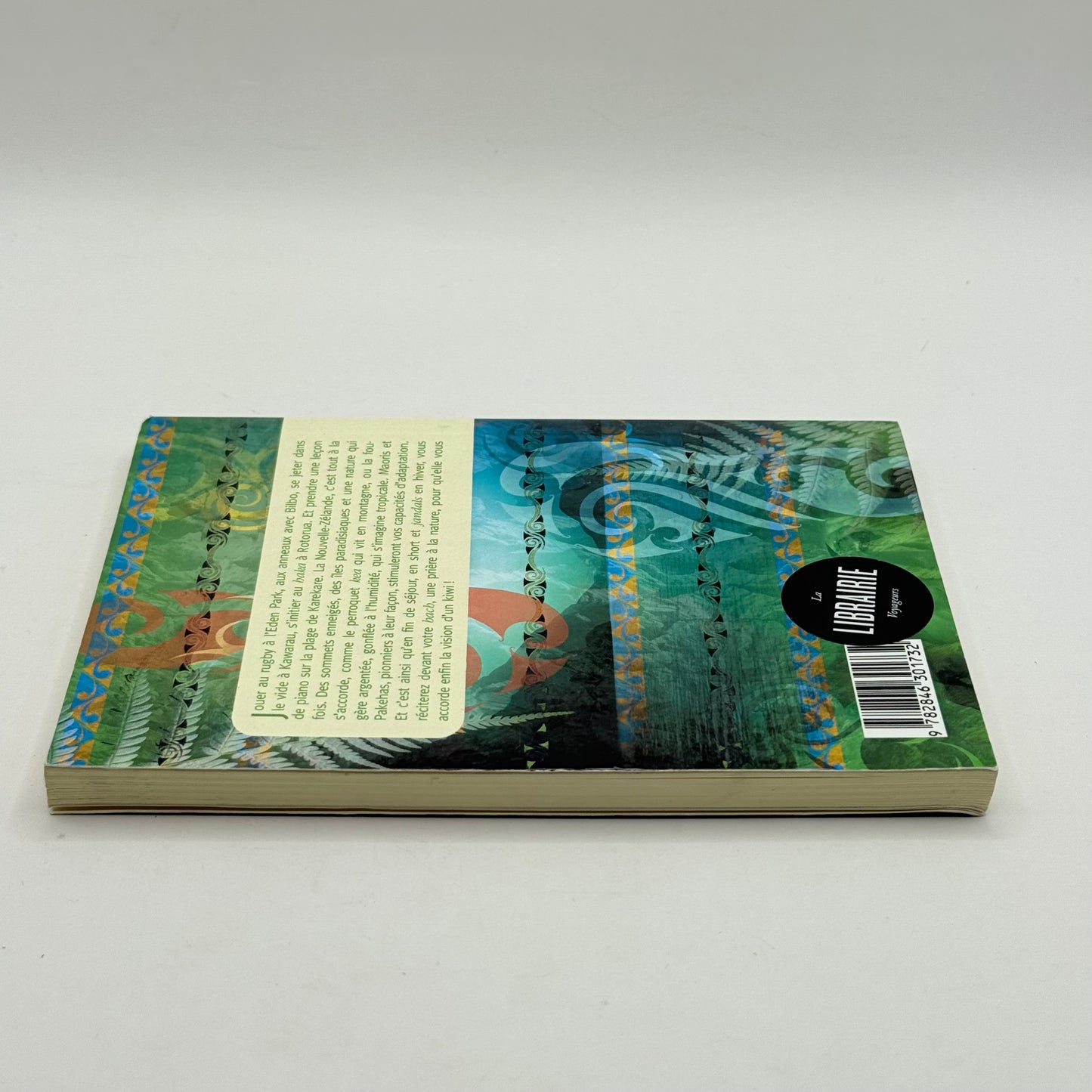 Dictionnaire Insolite de la Nouvelle-Zelande  French Edition  by Rosanne ARIES