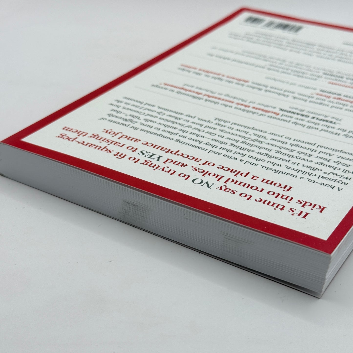 Differently Wired by Deborah Reber