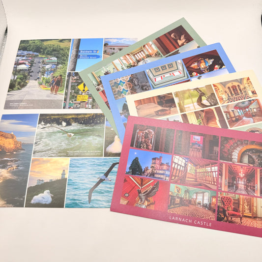 Dunedin new zealand postcard set - vintage advertisements original photo - what’s new seasonal & holidays decorations