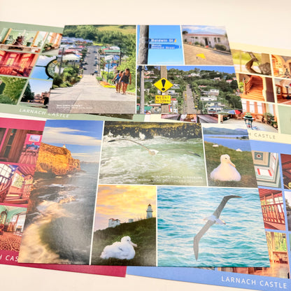 Dunedin new zealand postcard set - vintage advertisements original photo - what’s new seasonal & holidays decorations
