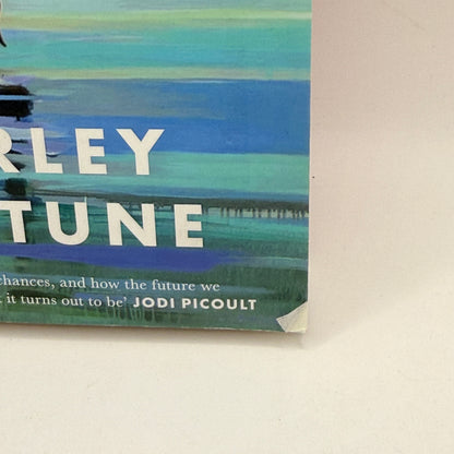 Every Summer After by Carley Fortune