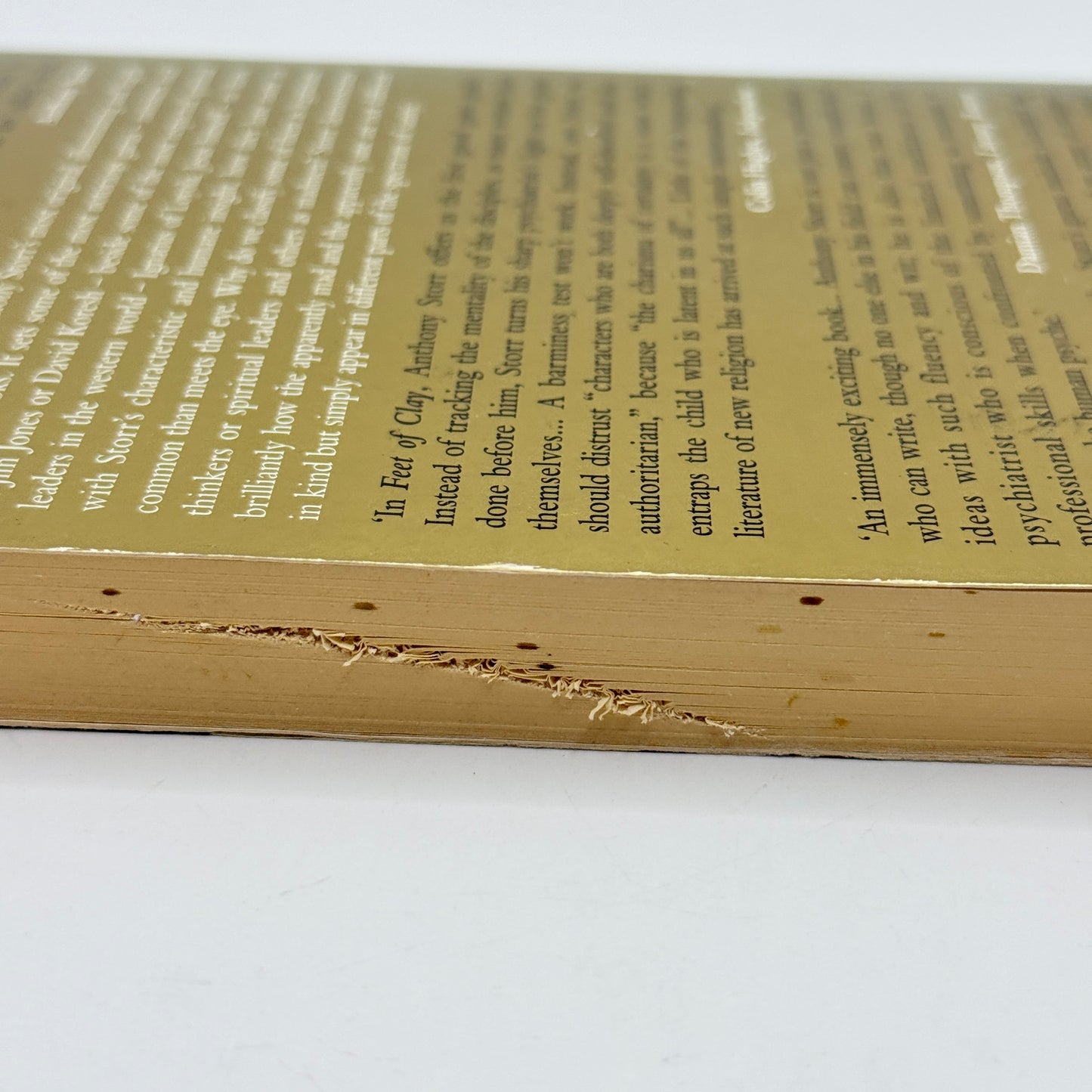 Feet of Clay by Anthony Storr