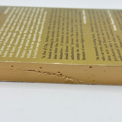 Feet of Clay by Anthony Storr