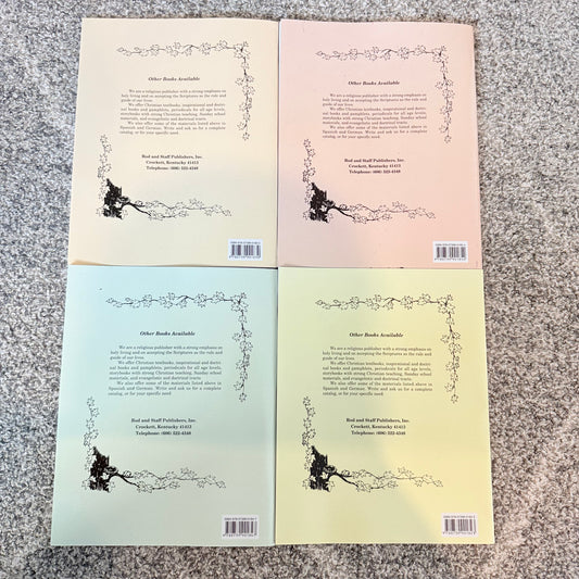 Four-book bible-themed coloring book set - coloring books & pads printed media