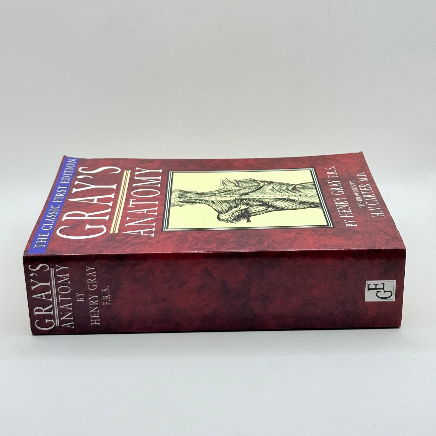 Gray’s Anatomy: Descriptive and Surgical by Henry Gray (The Classic First Edition)