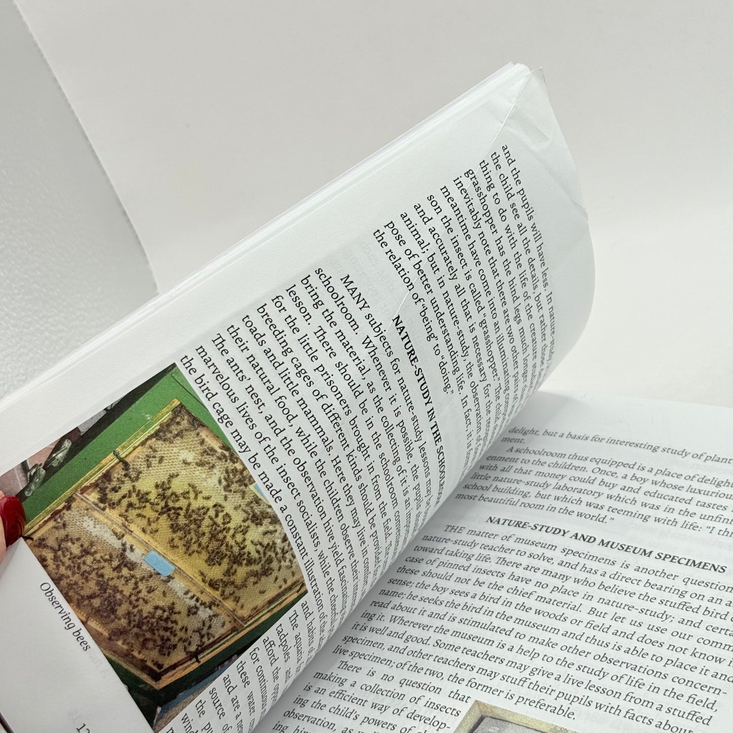 Handbook of Nature-Study by Anna Comstock