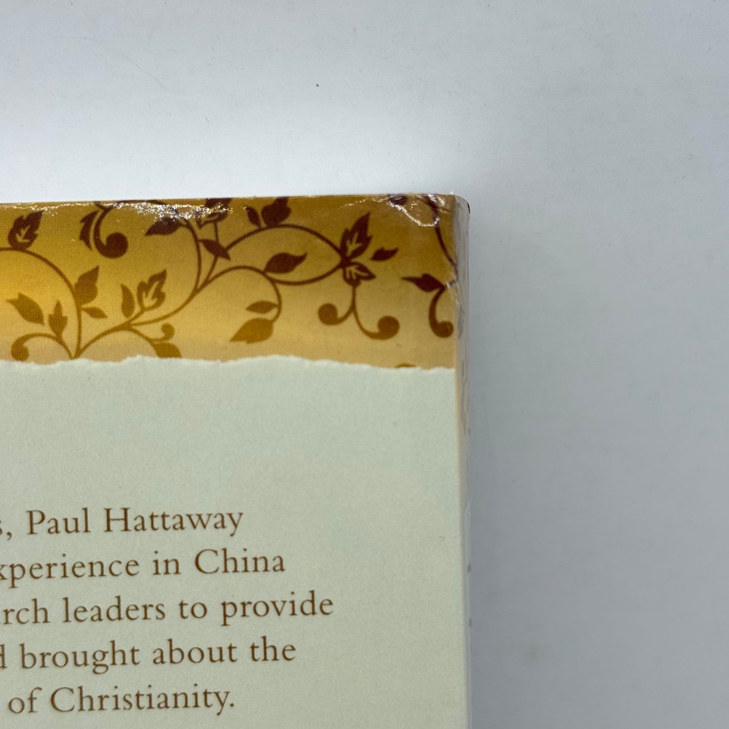 Henan Inside the Greatest Christian Revival in History by Paul Hattaway