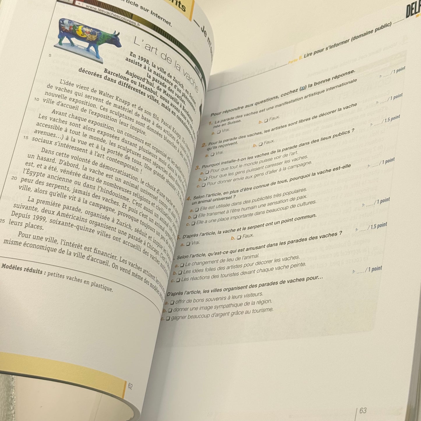 DELF B1 Junior/Scolaire Study Guide by Hachette - French Edition