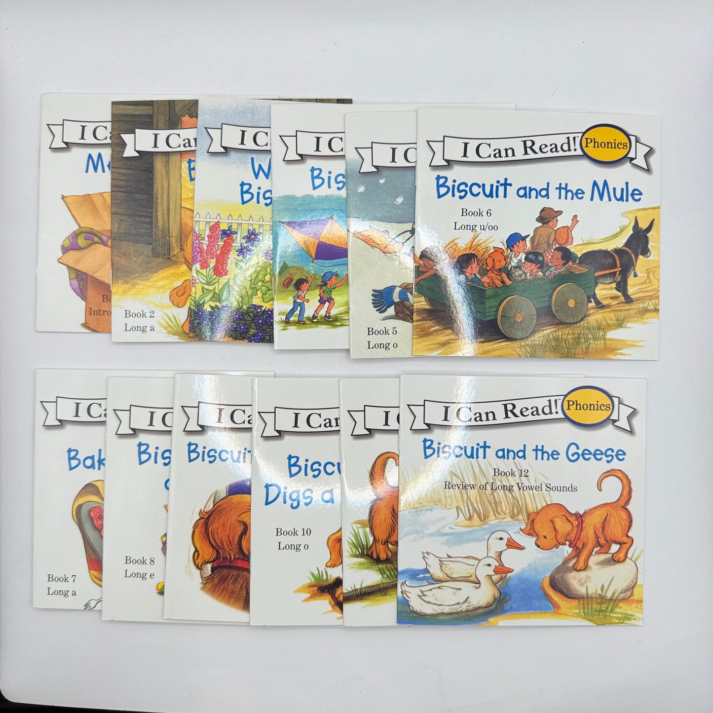 I Can Read! Phonics Books (Biscuit Series)