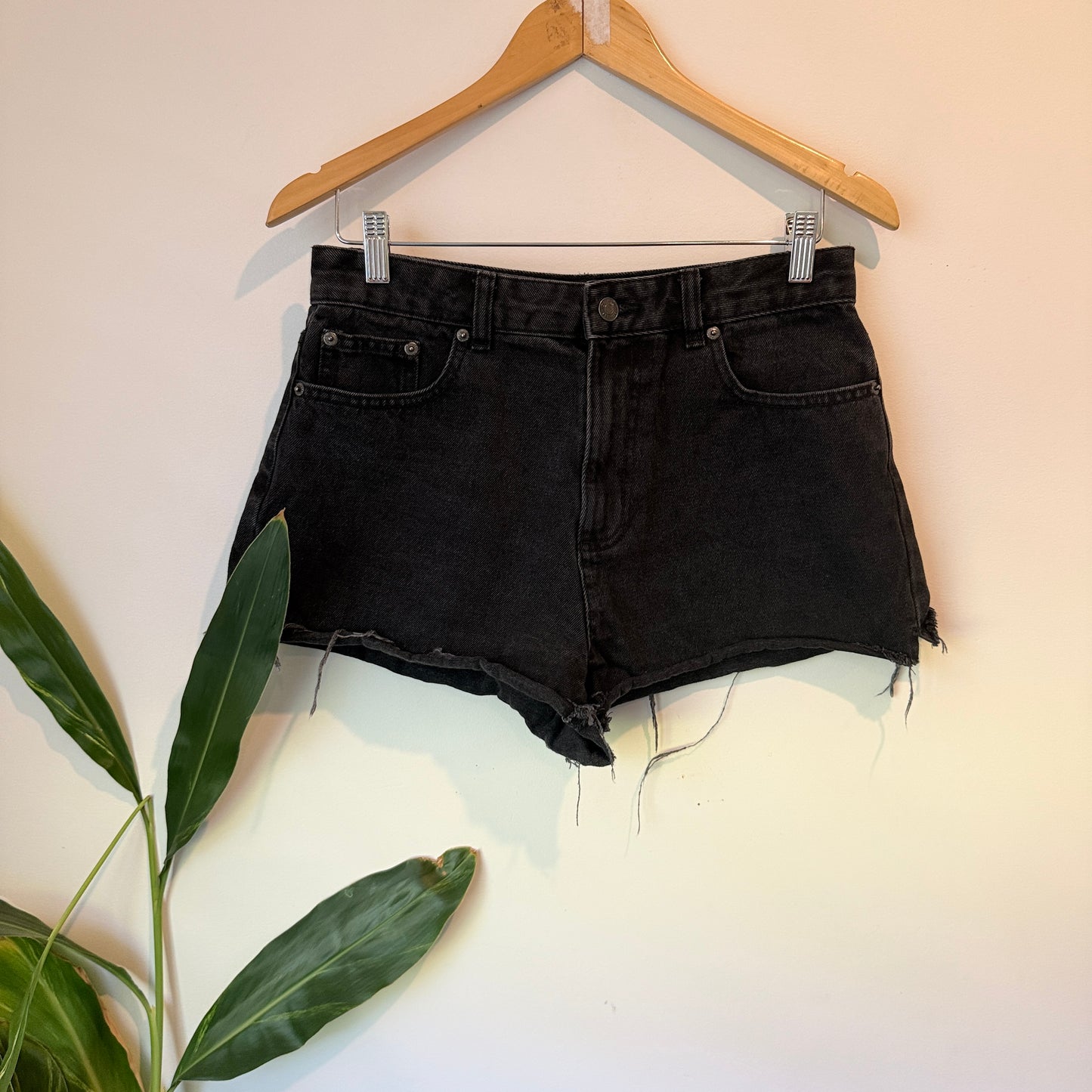 Glassons Black Denim Cut-Off Shorts – Size 10