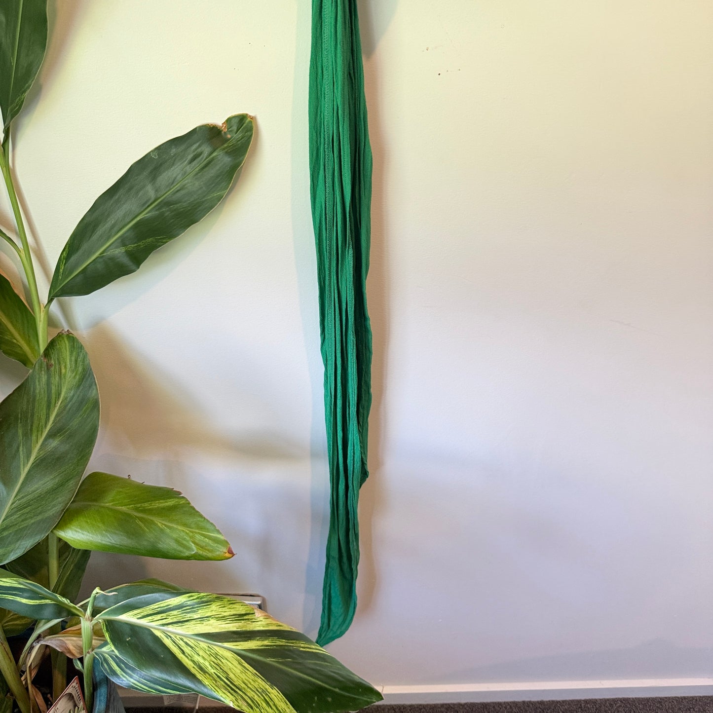 Dotti Tie Front Crop Top – Green – Size 14