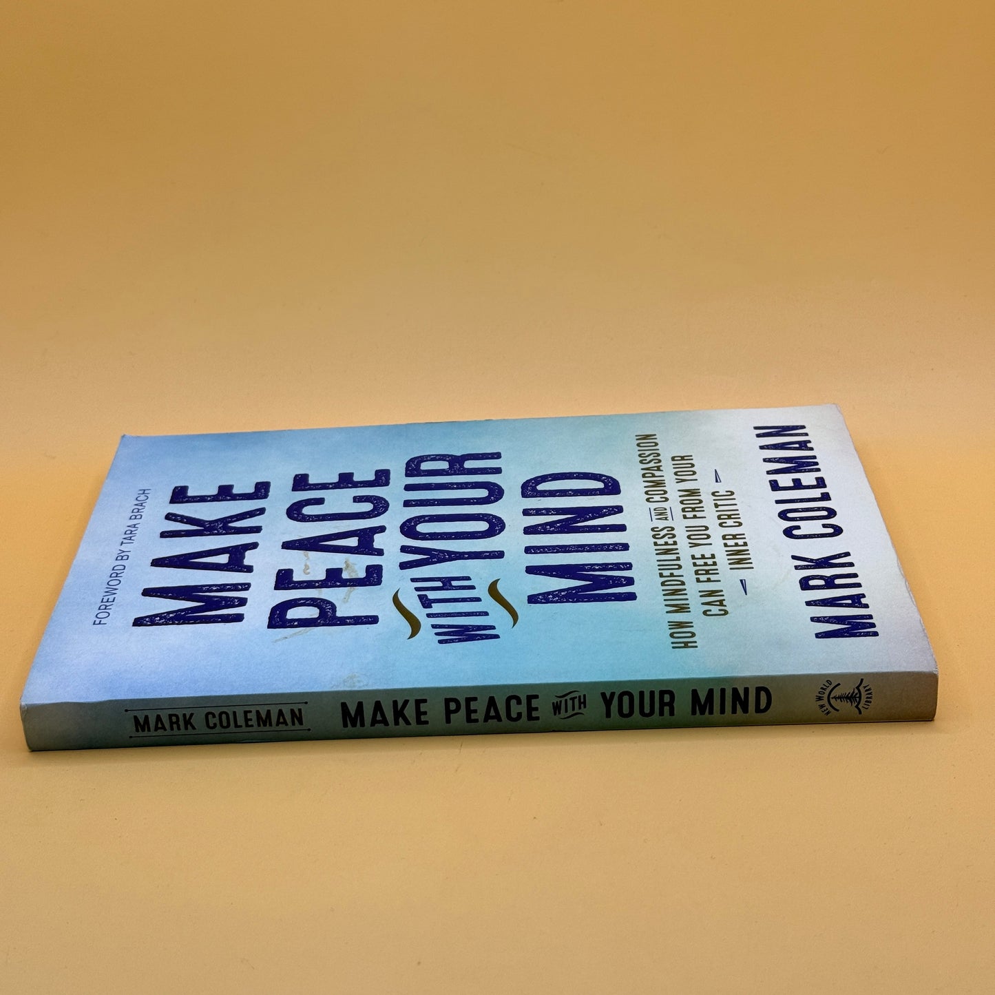 Make Peace With Your Mind by Mark Coleman