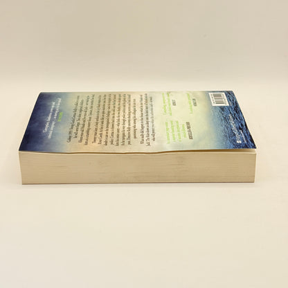 The Ruin by Dervla McTiernan