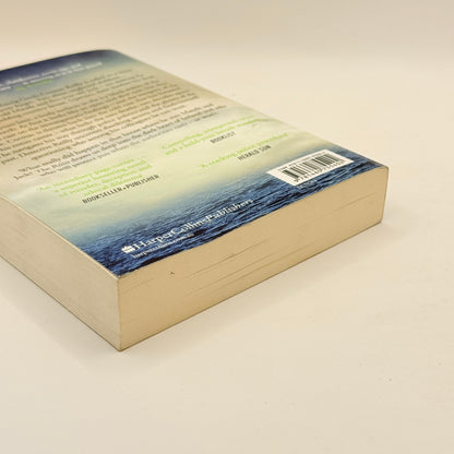 The Ruin by Dervla McTiernan